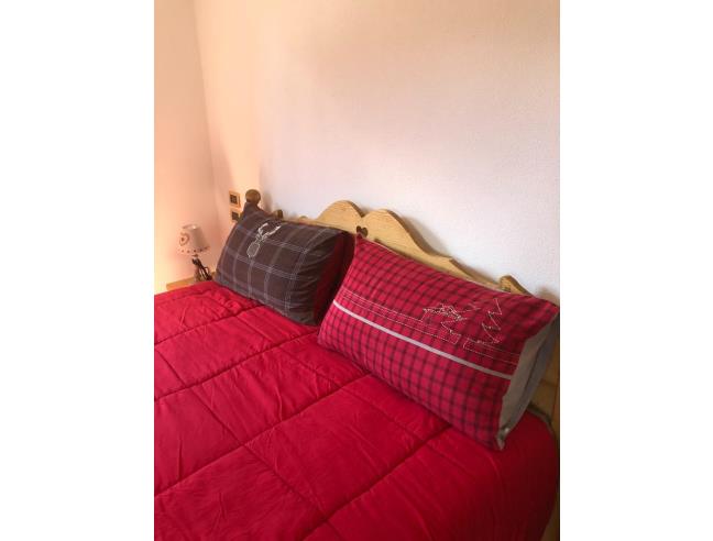 Anteprima foto 2 - Affitto Appartamento Vacanze da Privato a Canal San Bovo - Ronco-Chiesa