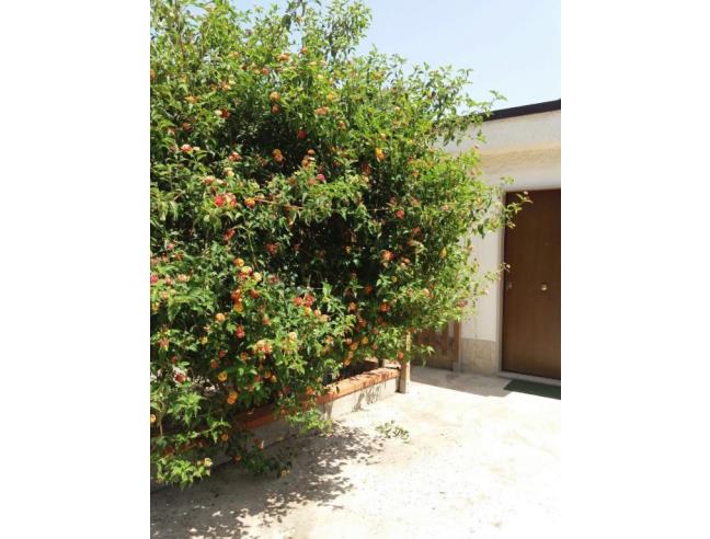 Anteprima foto 6 - Affitto Appartamento Vacanze da Privato a Capaccio Paestum (Salerno)