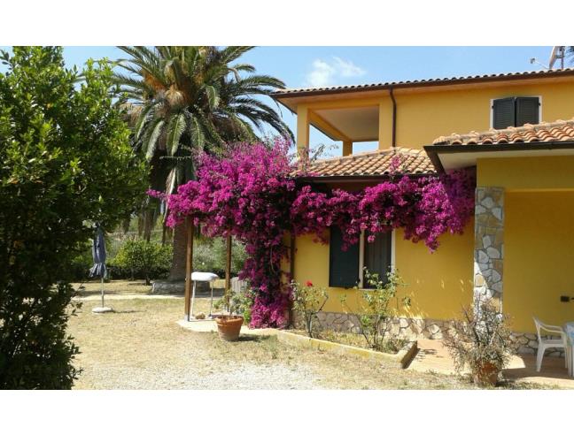 Anteprima foto 2 - Affitto Appartamento Vacanze da Privato a Capoliveri - Lacona