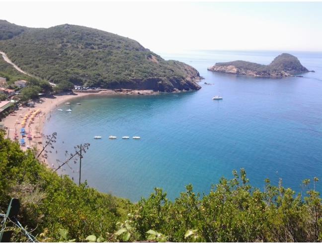 Anteprima foto 2 - Affitto Appartamento Vacanze da Privato a Capoliveri (Livorno)