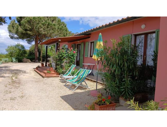 Anteprima foto 6 - Affitto Appartamento Vacanze da Privato a Capoliveri (Livorno)