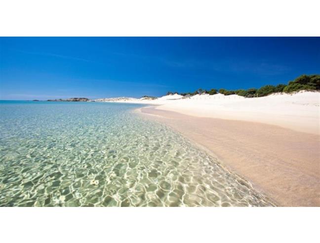 Anteprima foto 7 - Affitto Appartamento Vacanze da Privato a Capoterra - La Maddalena