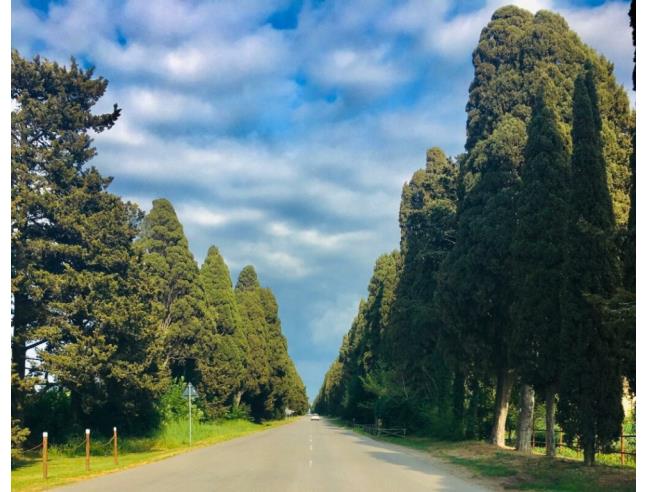 Anteprima foto 3 - Affitto Appartamento Vacanze da Privato a Castagneto Carducci - Donoratico