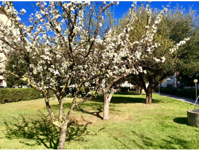 Anteprima foto 6 - Affitto Appartamento Vacanze da Privato a Castagneto Carducci - Donoratico