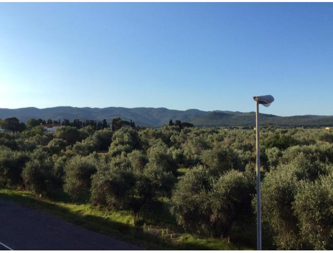 Anteprima foto 7 - Affitto Appartamento Vacanze da Privato a Castagneto Carducci - Donoratico