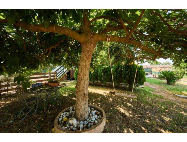 Anteprima foto 8 - Affitto Appartamento Vacanze da Privato a Castagneto Carducci - Donoratico