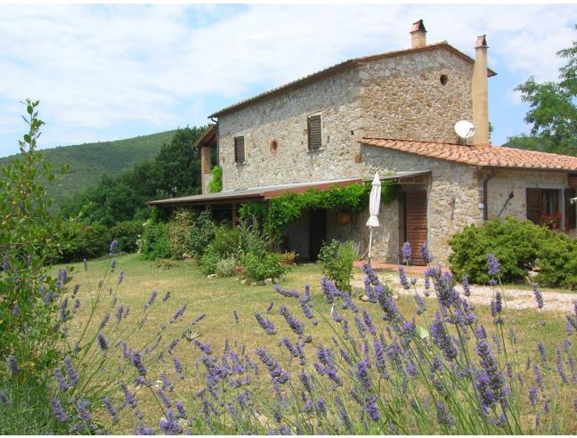 Anteprima foto 1 - Affitto Appartamento Vacanze da Privato a Castellina Marittima (Pisa)