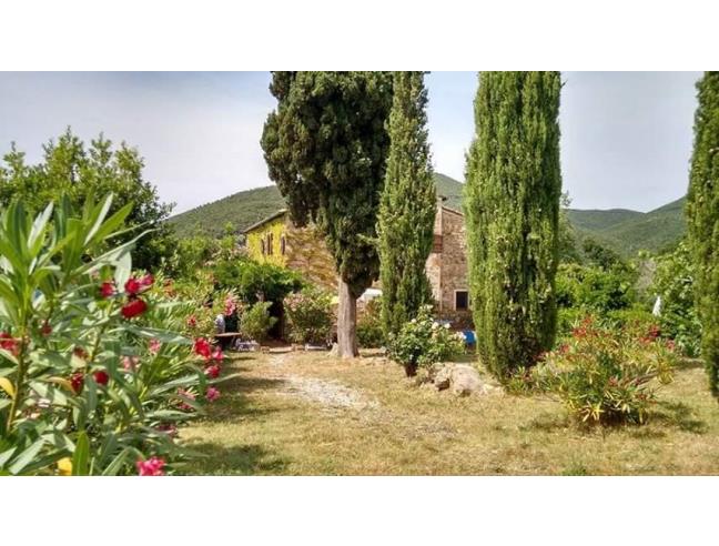 Anteprima foto 2 - Affitto Appartamento Vacanze da Privato a Castellina Marittima (Pisa)