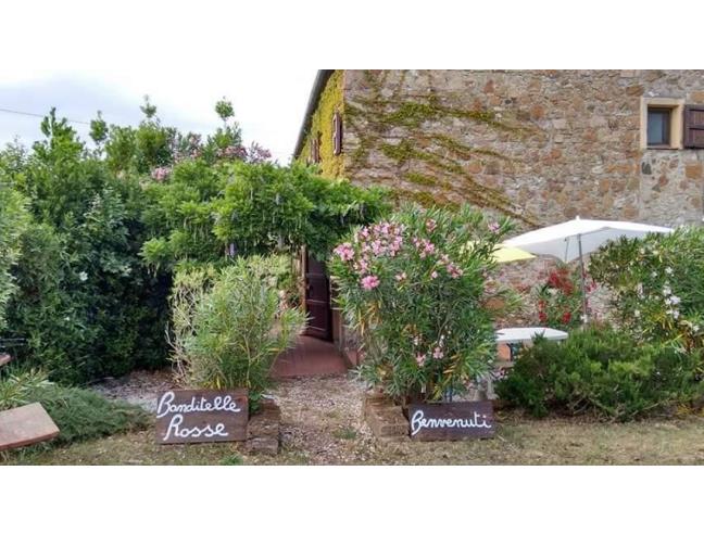 Anteprima foto 2 - Affitto Appartamento Vacanze da Privato a Castellina Marittima (Pisa)