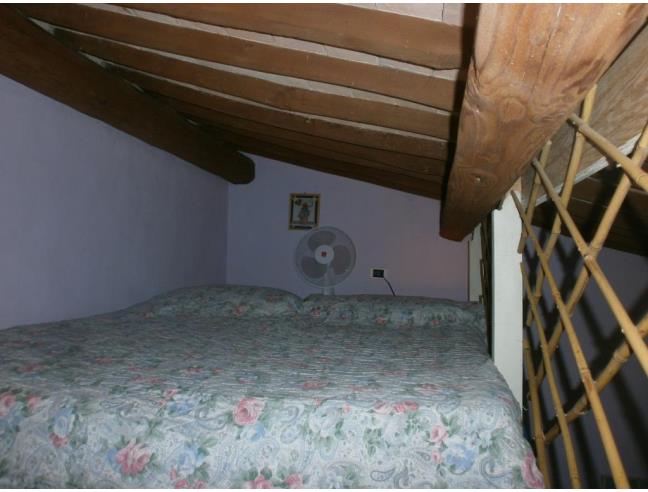 Anteprima foto 6 - Affitto Appartamento Vacanze da Privato a Castellina Marittima (Pisa)