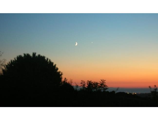 Anteprima foto 8 - Affitto Appartamento Vacanze da Privato a Castellina Marittima (Pisa)