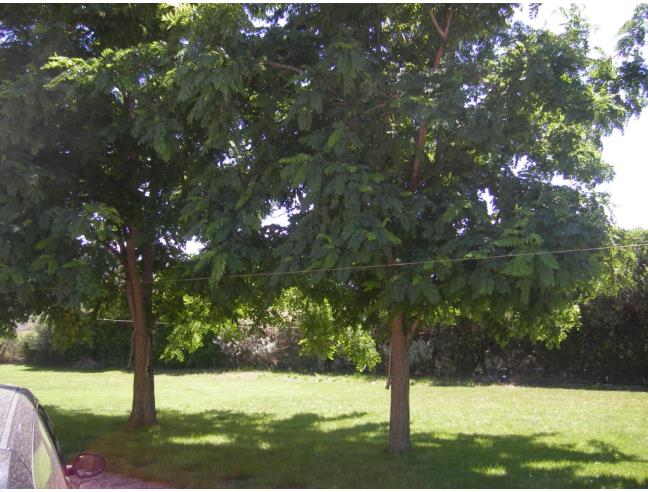 Anteprima foto 6 - Affitto Appartamento Vacanze da Privato a Castelsardo - Lu Bagnu