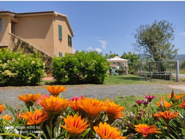 Anteprima foto 1 - Affitto Appartamento Vacanze da Privato a Castiglione della Pescaia (Grosseto)