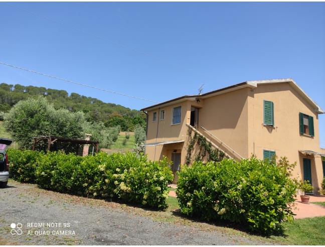 Anteprima foto 2 - Affitto Appartamento Vacanze da Privato a Castiglione della Pescaia (Grosseto)