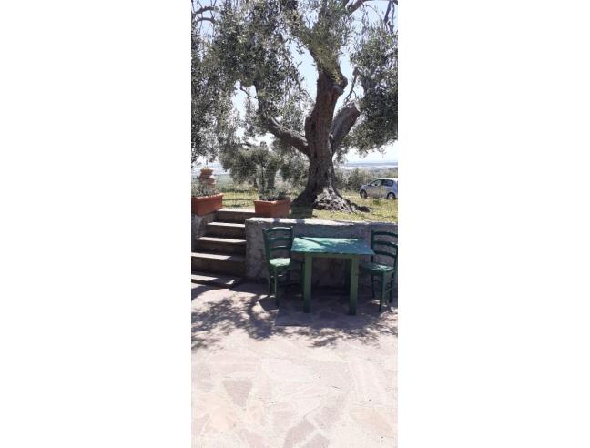 Anteprima foto 2 - Affitto Appartamento Vacanze da Privato a Castiglione della Pescaia (Grosseto)