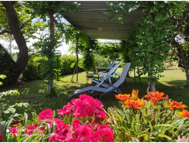 Anteprima foto 4 - Affitto Appartamento Vacanze da Privato a Castiglione della Pescaia (Grosseto)