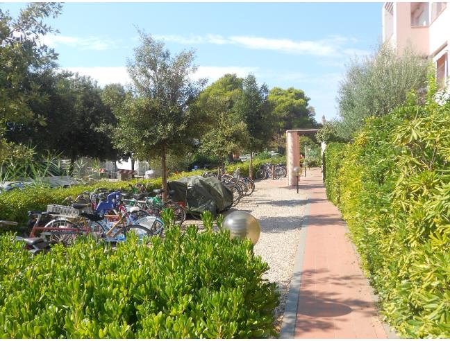Anteprima foto 7 - Affitto Appartamento Vacanze da Privato a Castiglione della Pescaia (Grosseto)