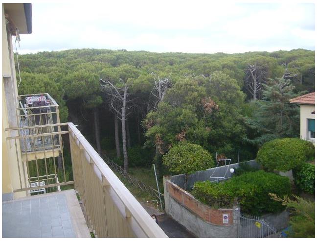 Anteprima foto 2 - Affitto Appartamento Vacanze da Privato a Cecina (Livorno)