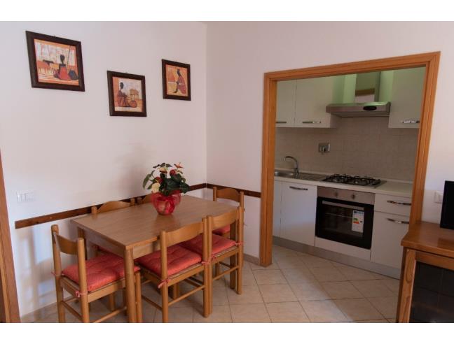 Anteprima foto 4 - Affitto Appartamento Vacanze da Privato a Cecina (Livorno)