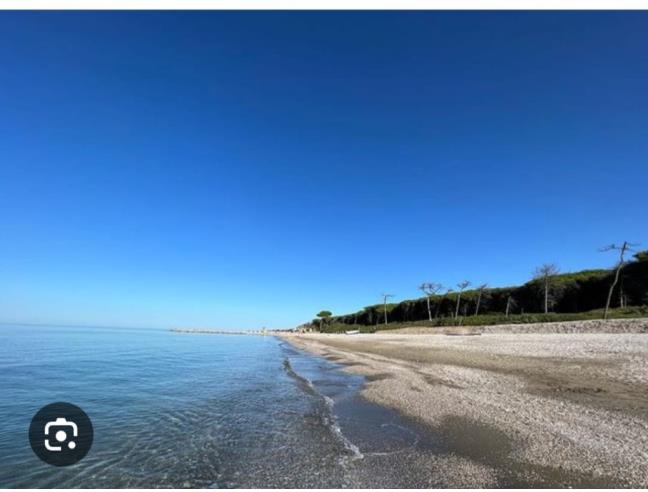 Anteprima foto 4 - Affitto Appartamento Vacanze da Privato a Cecina (Livorno)