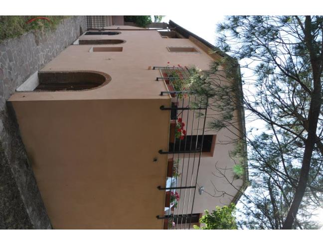 Anteprima foto 5 - Affitto Appartamento Vacanze da Privato a Cecina (Livorno)