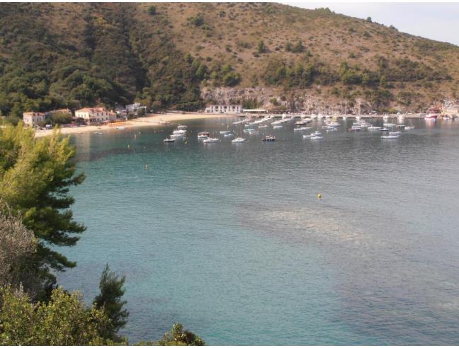 Anteprima foto 4 - Affitto Appartamento Vacanze da Privato a Centola - Palinuro