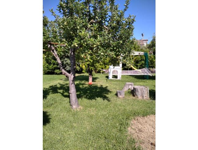 Anteprima foto 5 - Affitto Appartamento Vacanze da Privato a Centola - Palinuro