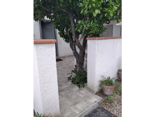 Anteprima foto 7 - Affitto Appartamento Vacanze da Privato a Centola - Palinuro