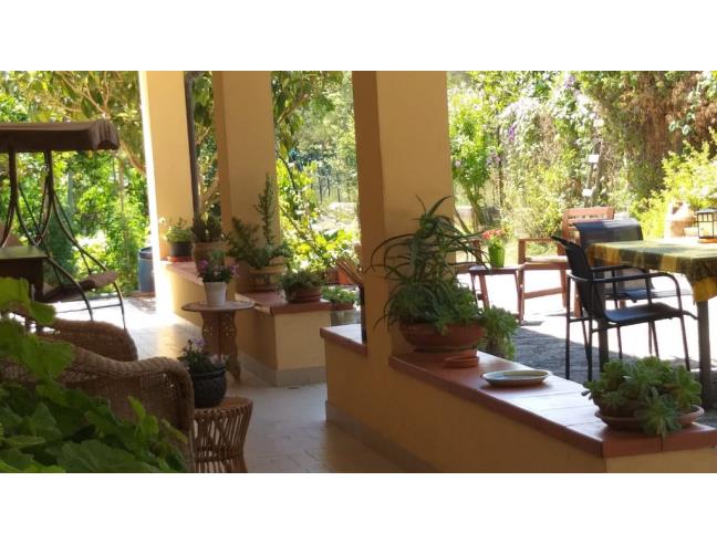 Anteprima foto 8 - Affitto Appartamento Vacanze da Privato a Centola - Palinuro