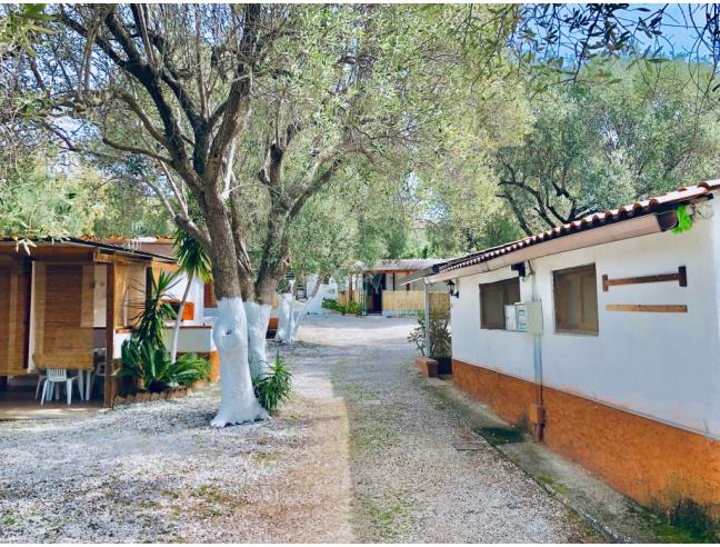 Anteprima foto 2 - Affitto Appartamento Vacanze da Privato a Centola (Salerno)