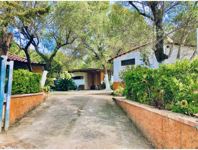 Anteprima foto 3 - Affitto Appartamento Vacanze da Privato a Centola (Salerno)