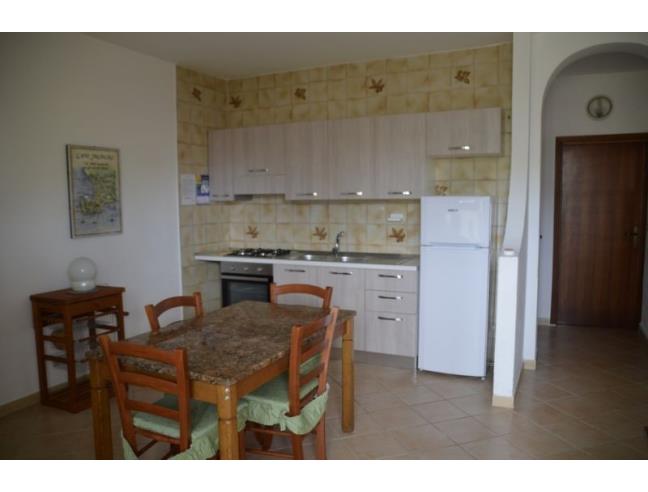 Anteprima foto 3 - Affitto Appartamento Vacanze da Privato a Centola (Salerno)