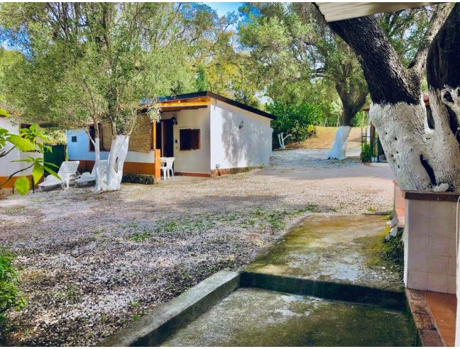 Anteprima foto 5 - Affitto Appartamento Vacanze da Privato a Centola (Salerno)