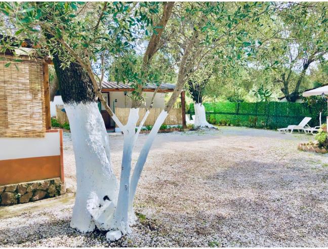 Anteprima foto 6 - Affitto Appartamento Vacanze da Privato a Centola (Salerno)