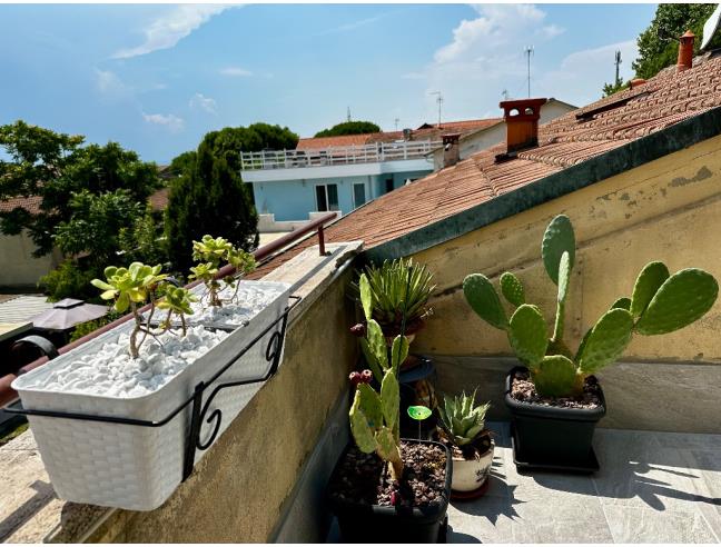 Anteprima foto 1 - Affitto Appartamento Vacanze da Privato a Cervia - Pinarella