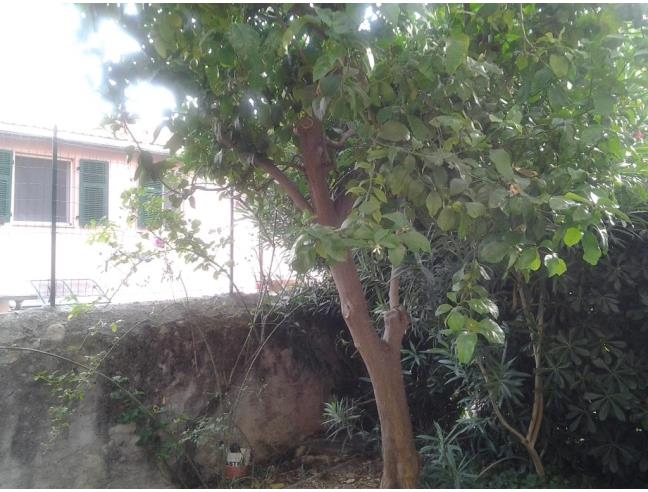 Anteprima foto 6 - Affitto Appartamento Vacanze da Privato a Cervo (Imperia)