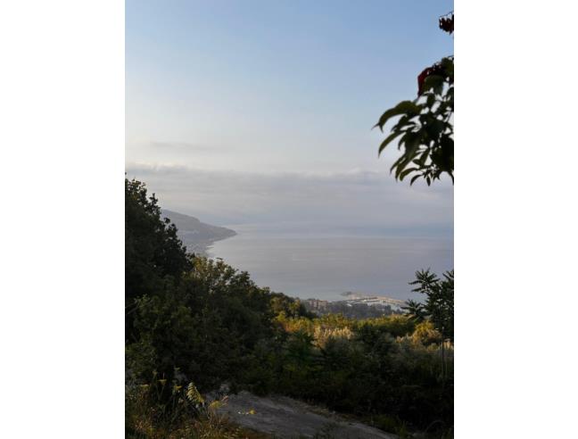 Anteprima foto 2 - Affitto Appartamento Vacanze da Privato a Cetraro - Bosco