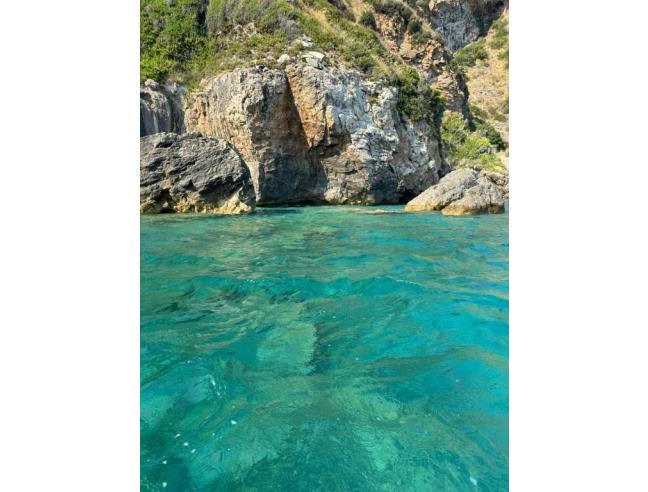 Anteprima foto 3 - Affitto Appartamento Vacanze da Privato a Cetraro - Bosco