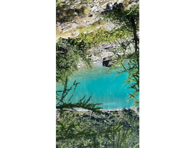 Anteprima foto 7 - Affitto Appartamento Vacanze da Privato a Chiesa in Valmalenco (Sondrio)