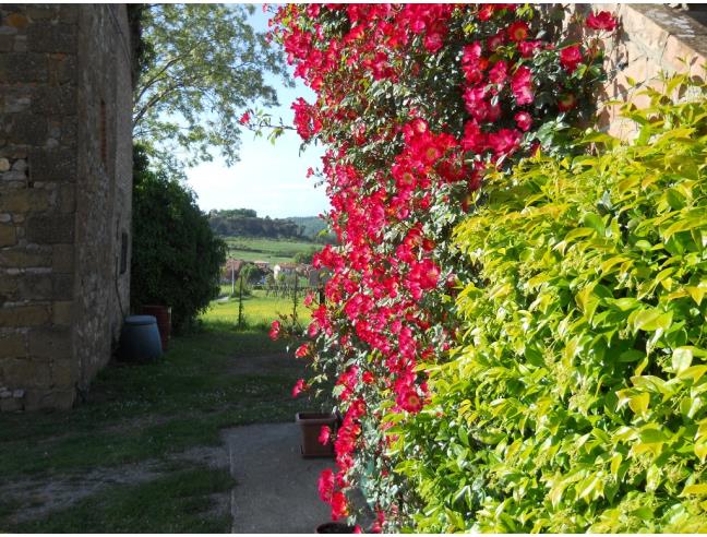 Anteprima foto 5 - Affitto Appartamento Vacanze da Privato a Città della Pieve - Maranzano