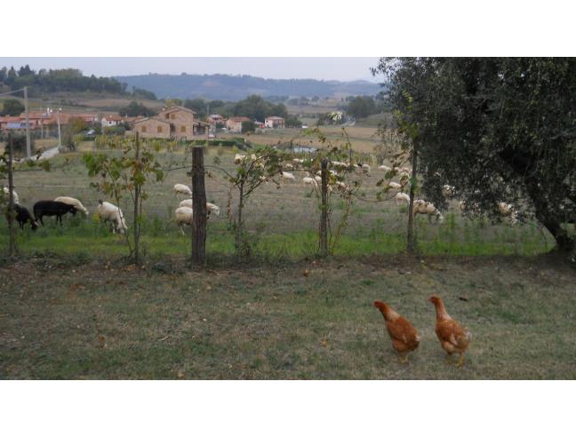 Anteprima foto 6 - Affitto Appartamento Vacanze da Privato a Città della Pieve - Maranzano