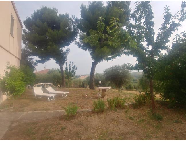 Anteprima foto 4 - Affitto Appartamento Vacanze da Privato a Colonnella (Teramo)