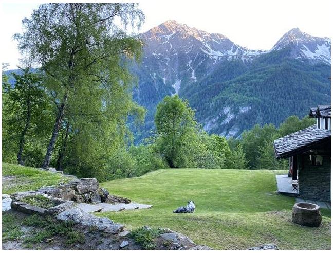 Anteprima foto 1 - Affitto Appartamento Vacanze da Privato a Courmayeur - Plan Gorret