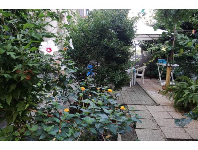 Anteprima foto 7 - Affitto Appartamento Vacanze da Privato a Cupra Marittima (Ascoli Piceno)