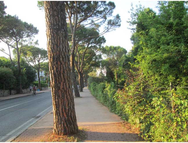 Anteprima foto 7 - Affitto Appartamento Vacanze da Privato a Desenzano del Garda (Brescia)