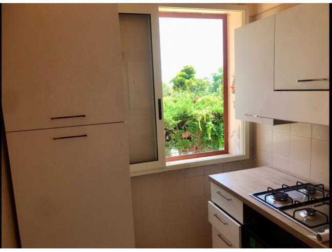 Anteprima foto 2 - Affitto Appartamento Vacanze da Privato a Diamante (Cosenza)