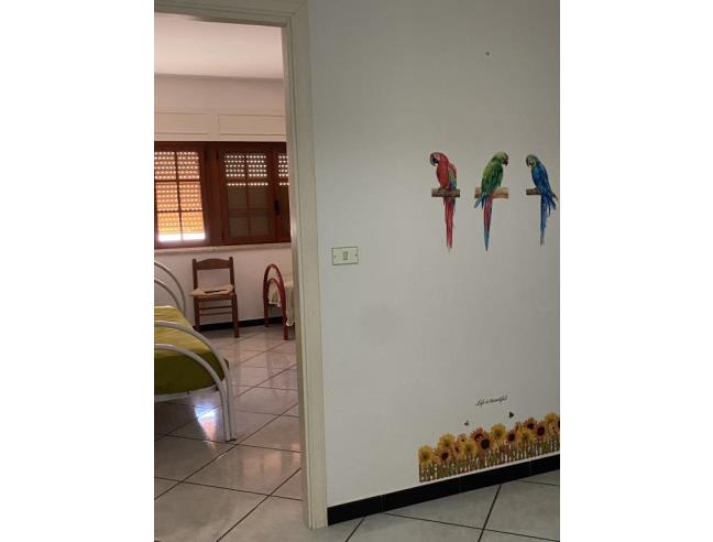 Anteprima foto 7 - Affitto Appartamento Vacanze da Privato a Diamante (Cosenza)