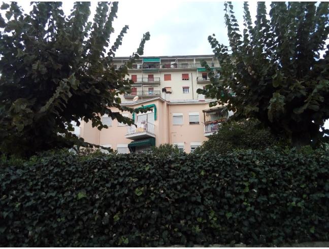 Anteprima foto 8 - Affitto Appartamento Vacanze da Privato a Follonica (Grosseto)