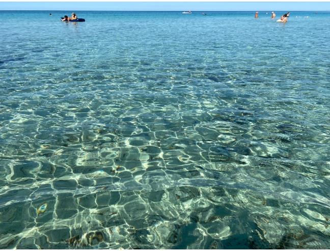 Anteprima foto 4 - Affitto Appartamento Vacanze da Privato a Gallipoli (Lecce)