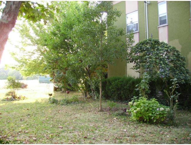 Anteprima foto 6 - Affitto Appartamento Vacanze da Privato a Gatteo (Forlì-Cesena)